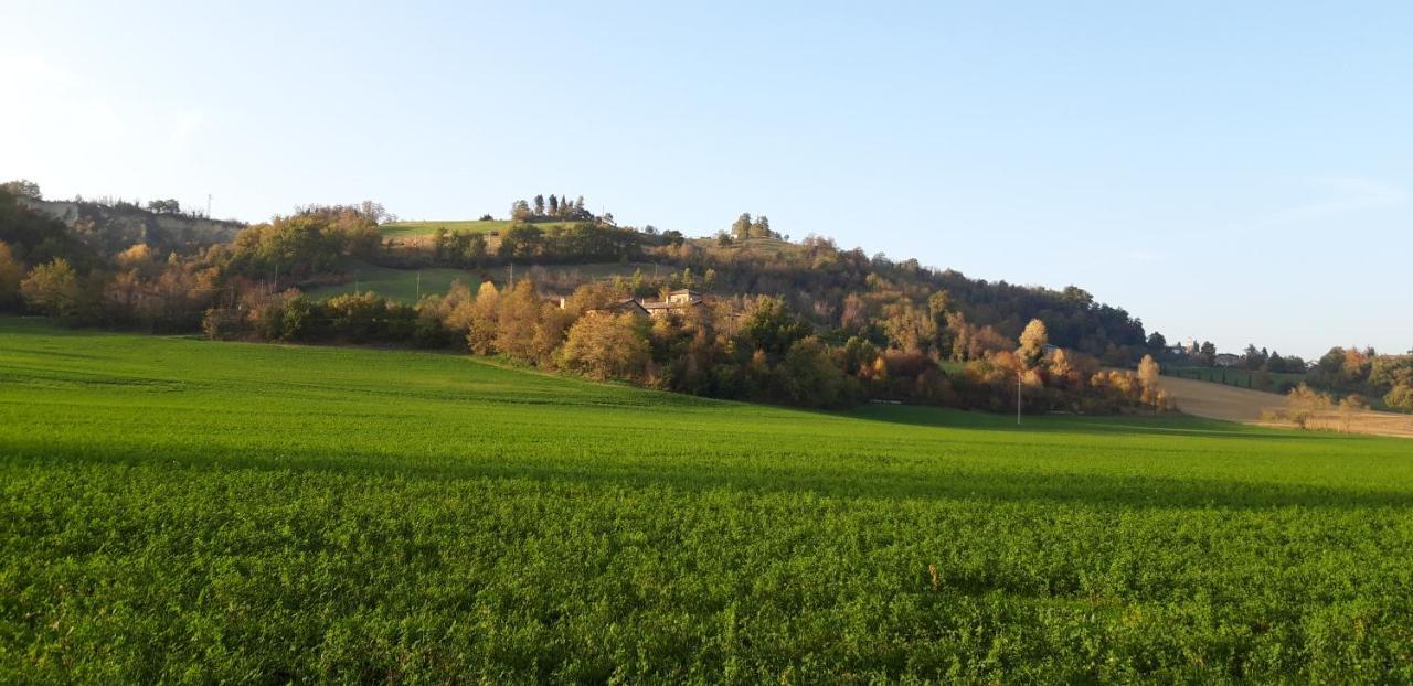 Agriturismo Ca' Bertu' Zappolino Exterior foto